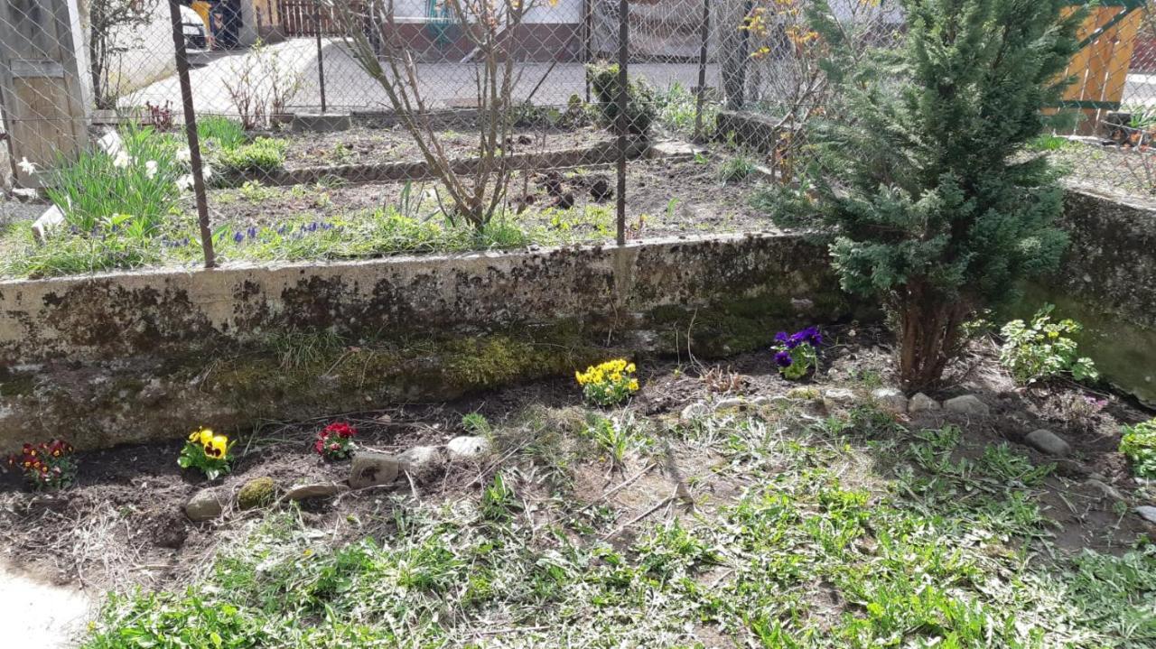 הוילה צ'נצ'ניגה Casa Mascia מראה חיצוני תמונה