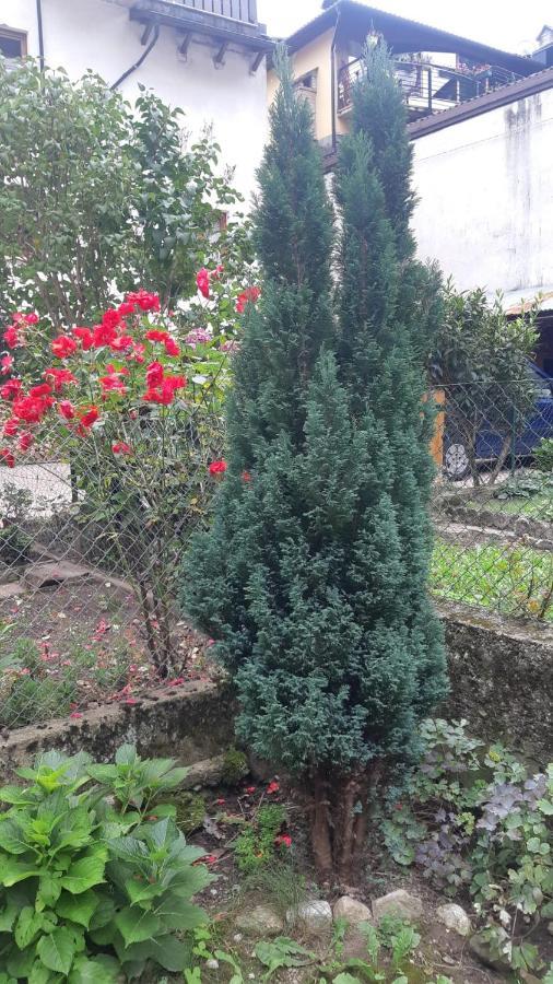הוילה צ'נצ'ניגה Casa Mascia מראה חיצוני תמונה
